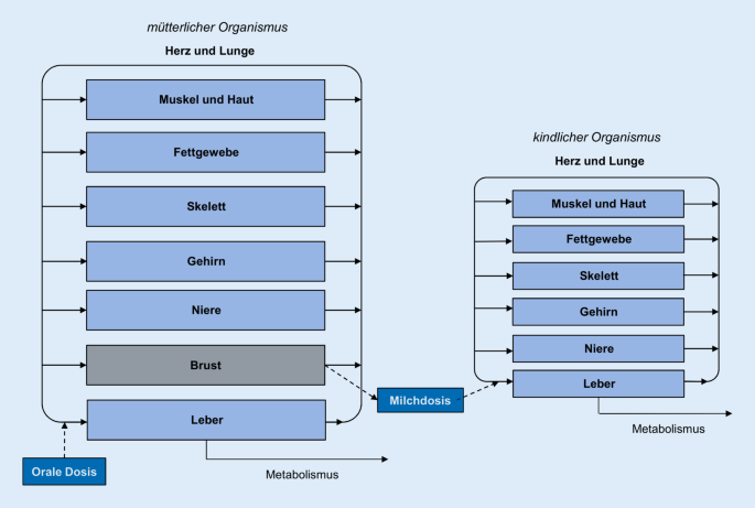 Fremdstoffe und Krankheitserreger in der Muttermilch | SpringerLink