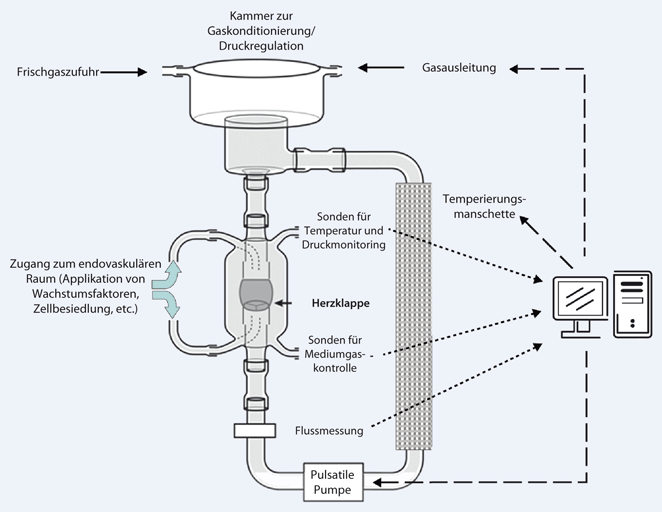 Ersatz-Pumpe & -Netzteil für Vital Flow