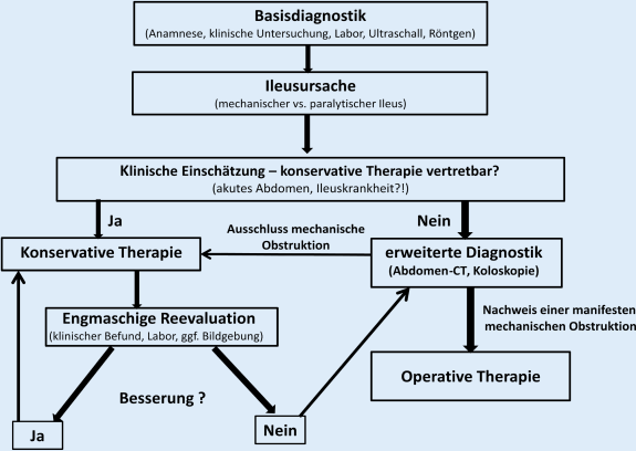 Konservative und operative Therapie des Ileus | SpringerLink