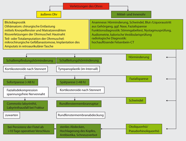 Traumatologie Des Ohrs Und Der Lateralen Schadelbasis Springerlink