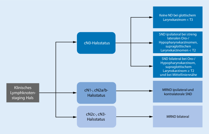 Neck Dissection Die Operative Behandlung Der Zervikalen Lymphabflusswege Springerlink