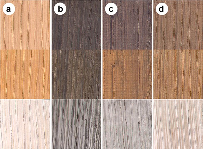 Color changes and accelerated ageing in oak wood treated with ammonia gas  and iron nanoparticles | SpringerLink