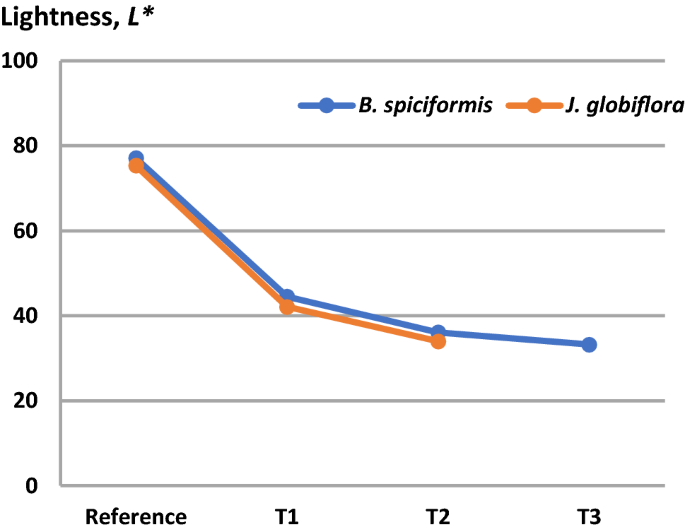 Effects Of Thermal Modification On Physical And Mechanical Properties Of Mozambican Brachystegia Spiciformis And Julbernardia Globiflora Wood Springerlink