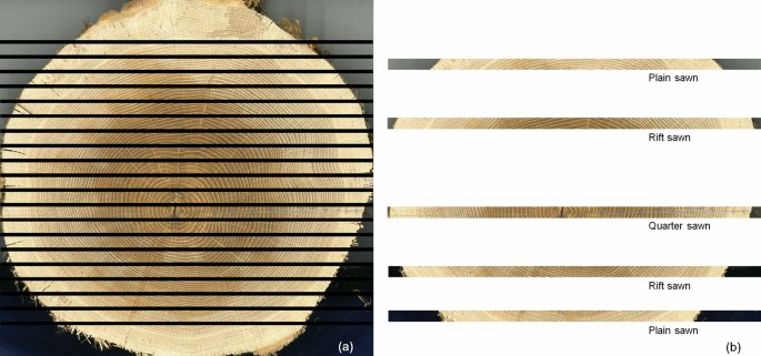 Wood Properties And Drying Characteristics Of Korean Sawtooth Oak Quercus Acutissima Carruth Springerlink