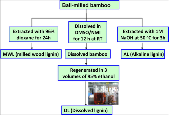 Extraction and applications of lignin from bamboo: a critical review |  SpringerLink