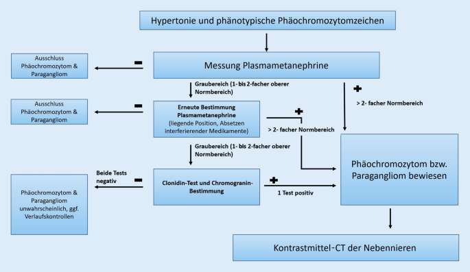 Update Endokrine Hypertonie Springerlink