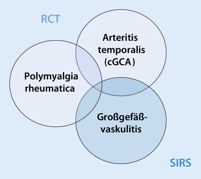 Grossgefassvaskulitiden Riesenzellarteriitis Und Takayasu Arteriitis Springerlink