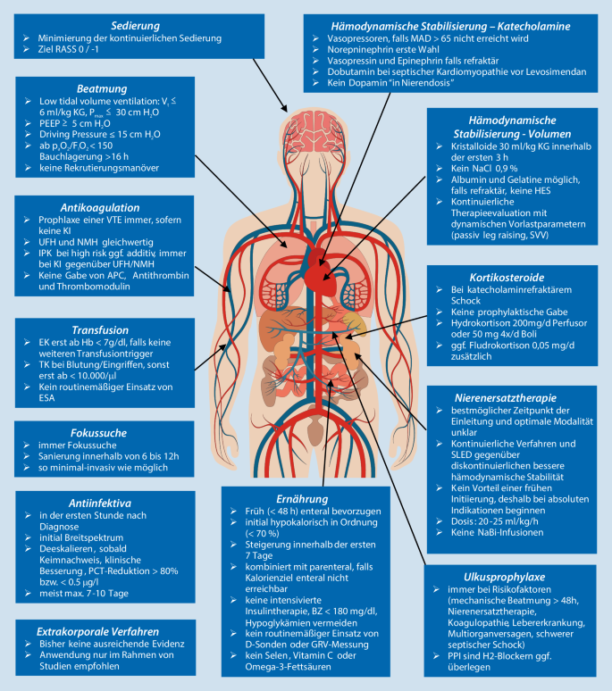 Was Ist Gesichert In Der Therapie Der Sepsis Springerlink