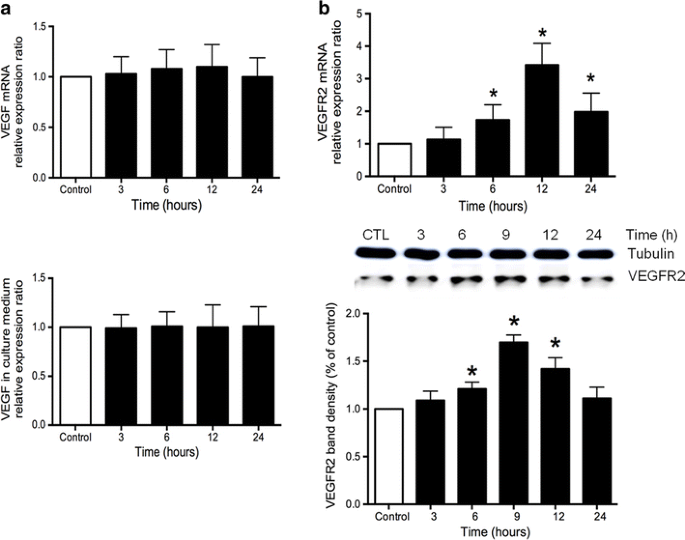 ghk-cu bodybuilding ghk cu peptide injection bodybuilding GHK-Cu Copper Peptide: Dosage, Before and After Results, and How ghk-cu bodybuilding ghk cu peptide injection bodybuilding GHK-Cu Copper Peptide: Dosage, Before and After Results, and How
