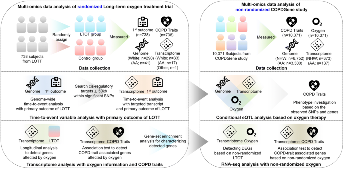 Genomics And Response To Long Term Oxygen Therapy In Chronic Obstructive Pulmonary Disease Springerlink Genomics And Response To Long Term Oxygen Therapy In Chronic Obstructive Pulmonary Disease Springerlink