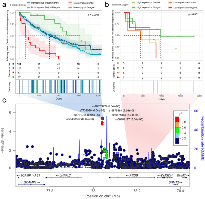 Genomics And Response To Long Term Oxygen Therapy In Chronic Obstructive Pulmonary Disease Springerlink Genomics And Response To Long Term Oxygen Therapy In Chronic Obstructive Pulmonary Disease Springerlink