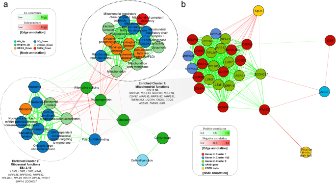Genomics And Response To Long Term Oxygen Therapy In Chronic Obstructive Pulmonary Disease Springerlink Genomics And Response To Long Term Oxygen Therapy In Chronic Obstructive Pulmonary Disease Springerlink
