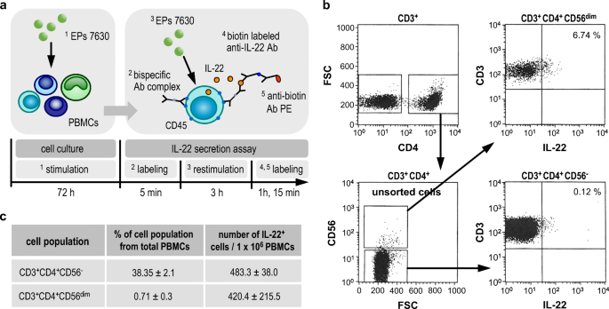 The herbal extract EPs® 7630 increases the antimicrobial airway defense through monocyte-dependent induction of IL-22 in T cells | Journal of Molecular Medicine the-herbal-extract-eps-7630-increases-the-antimicrobial-airway-defense-through-monocyte-dependent-induction-of-il-22-in-t-cells-journal-of-molecular-medicine