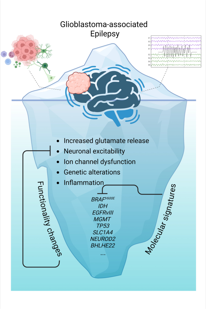 Correction to: The molecular landscape of glioblastoma-associated ...