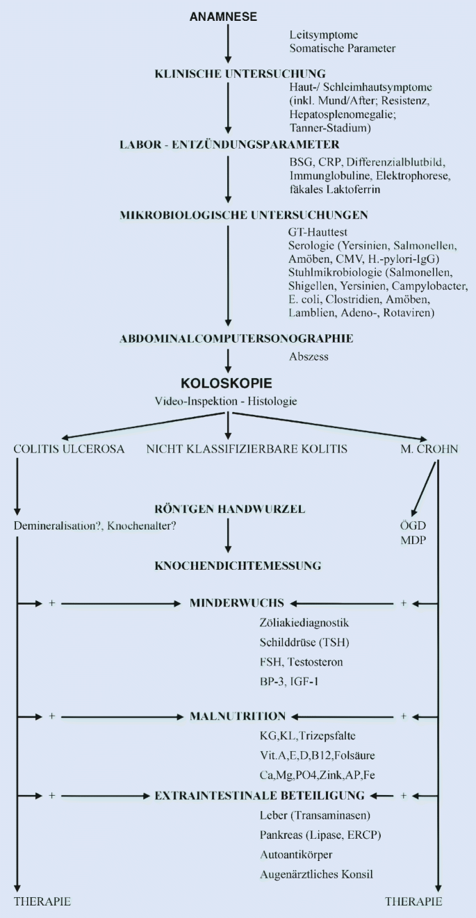 Diagnostik der chronisch-entzündlichen Darmerkrankungen | SpringerLink