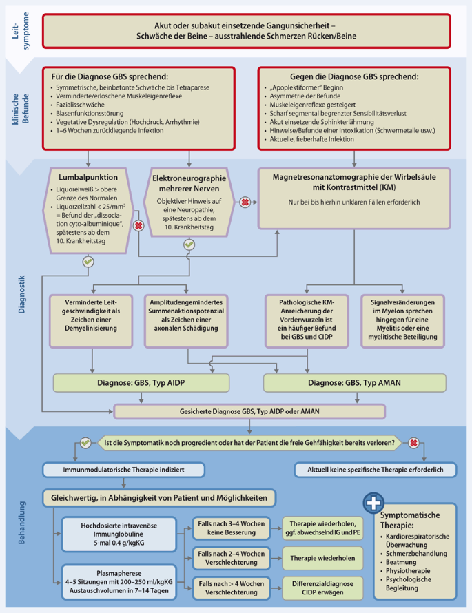Handlungsempfehlung nach der Leitlinie „Guillain-Barré Syndrom im Kindes-  und Jugendalter“ | Monatsschrift Kinderheilkunde