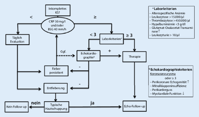 Kawasaki-Syndrom | SpringerLink