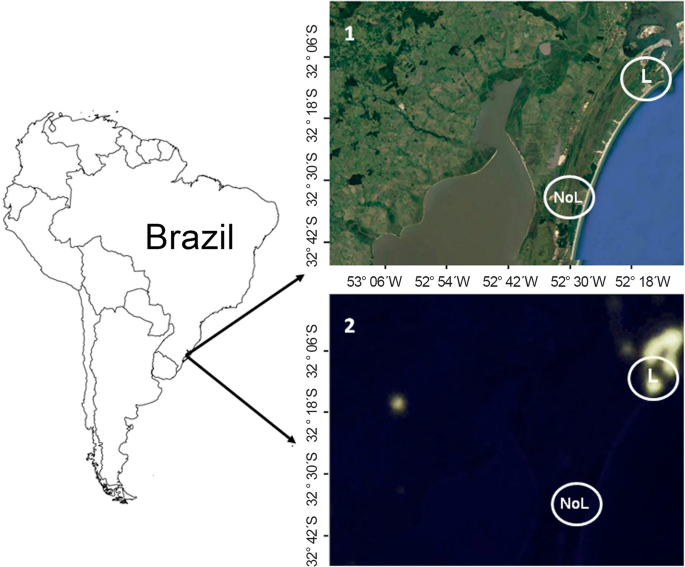 Ecological Light Pollution Affects Anuran Calling Season Daily Calling Period And Sensitivity To Light In Natural Brazilian Wetlands Springerlink