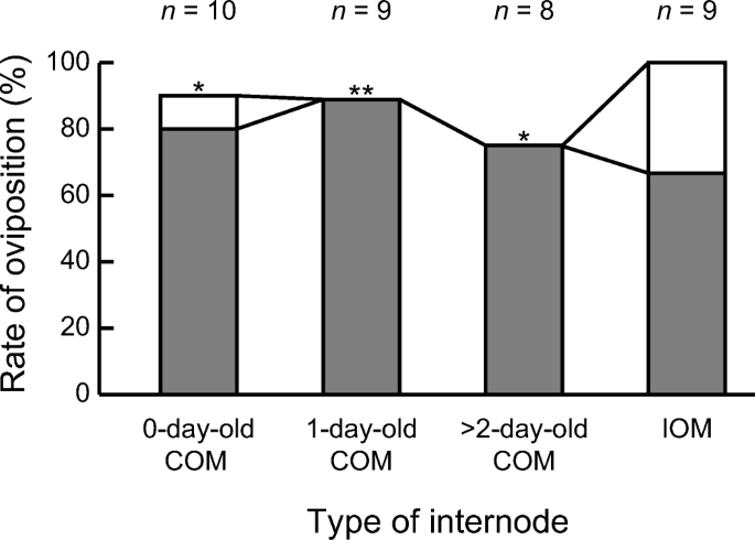 oviposition Time-dependent oviposition deterrence by an oviposition mark in a  fungus-farming lizard beetle | The Science of Nature
