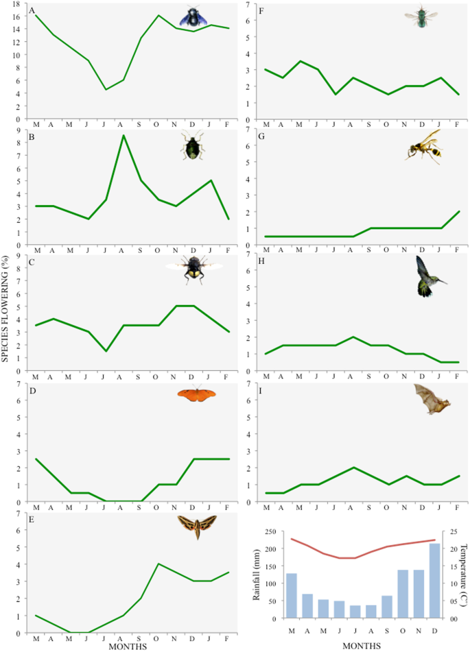 Temporal Organization Among Pollination Systems In A Tropical Seasonal Forest Springerlink