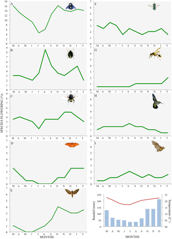 Temporal Organization Among Pollination Systems In A Tropical Seasonal Forest Springerlink Temporal Organization Among Pollination Systems In A Tropical Seasonal Forest Springerlink