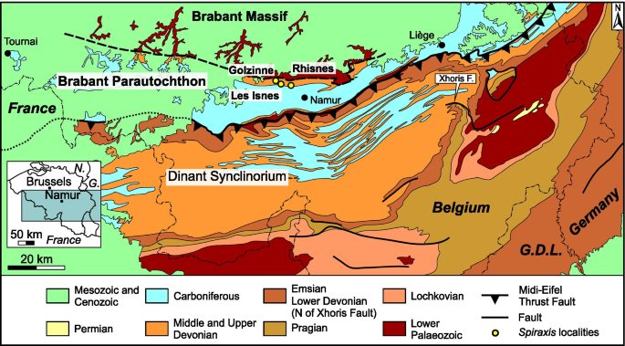 A dictionary of the fossils of Pennsylvania and neighboring states named in  the reports and catalogues of the survey  Paleontology. fig. 67, showing  a group of fragments assigned (where found