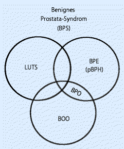 leitlinie prostatahyperplasie)