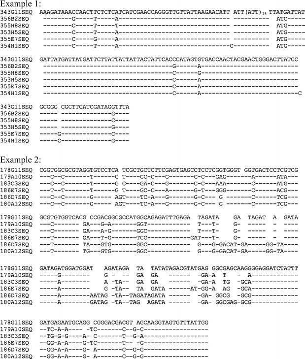Development And Mapping Of Microsatellite Ssr Markers In Wheat Springerlink