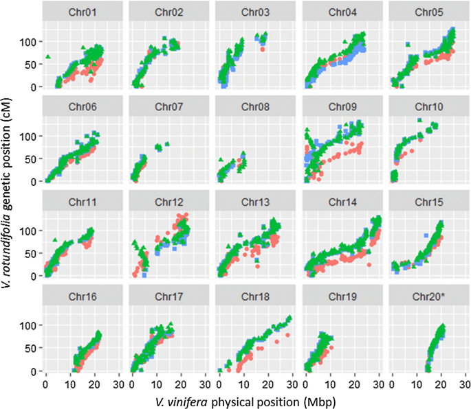 High-density linkage maps and loci for berry color and flower sex ...