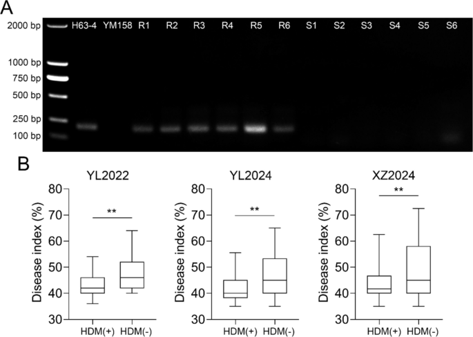 Drip'N EVO 28K Root B Disposable Vape, 20mL - Vapor Shoppe Australia