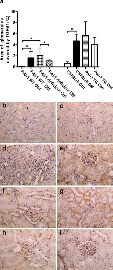 Plasminogen activator inhibitor-1 production is pathogenetic in