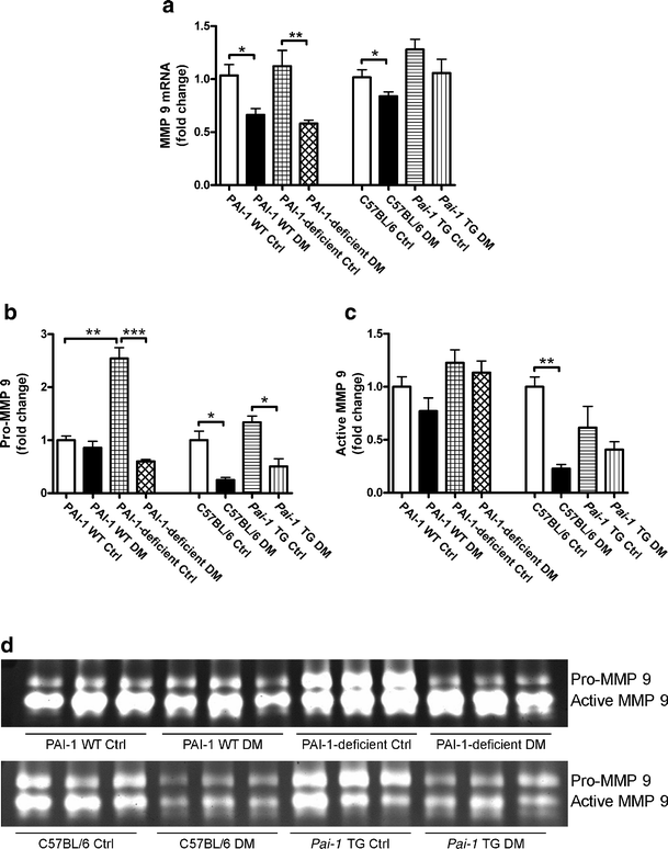 Plasminogen activator inhibitor-1 production is pathogenetic in