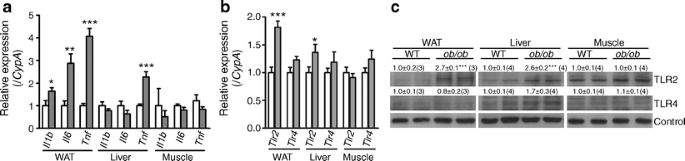 Toll-like receptor 2 deficiency improves insulin sensitivity and hepatic  insulin signalling in the mouse | SpringerLink