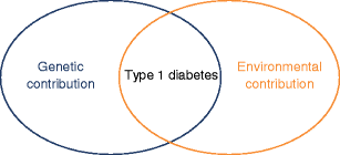 The threshold hypothesis: solving the equation of nurture vs nature in type  1 diabetes | SpringerLink
