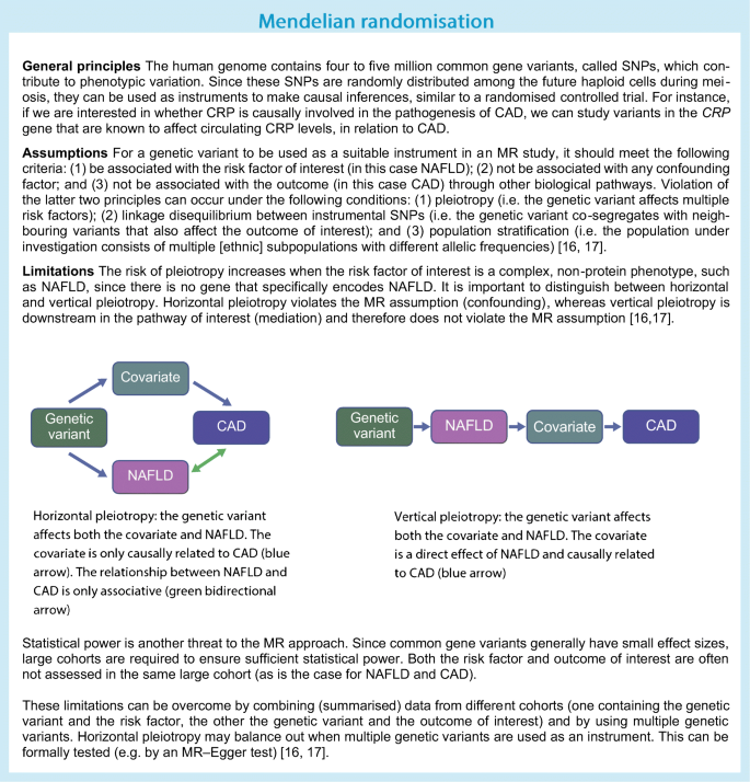 Non-alcoholic fatty liver disease and cardiovascular disease: assessing the  evidence for causality