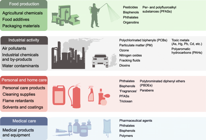 Environmental neglect: endocrine disruptors as underappreciated but  potentially modifiable diabetes risk factors | SpringerLink