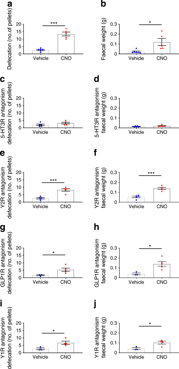 Selective Stimulation Of Colonic L Cells Improves Metabolic Outcomes In Mice Springerlink