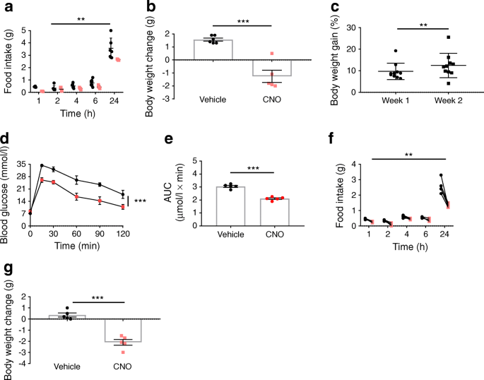 Selective Stimulation Of Colonic L Cells Improves Metabolic Outcomes In Mice Springerlink