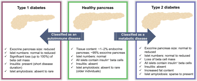 a diabetes pancreatitis