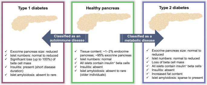 recent diabetes research vietnam a diabétesz