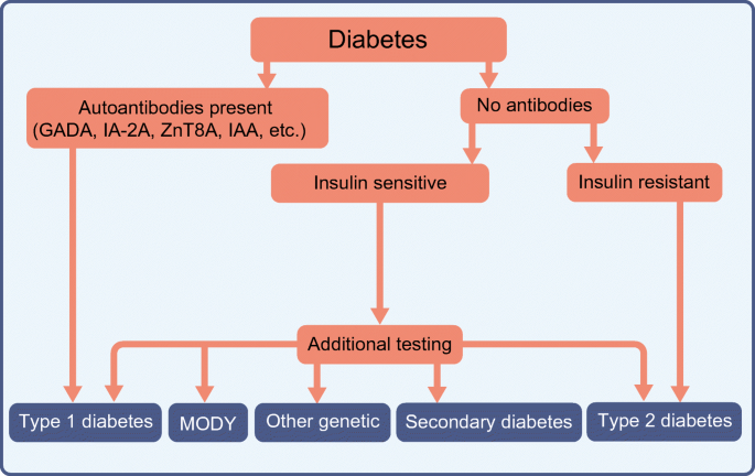 The clinical consequences of heterogeneity within and between different  diabetes types | SpringerLink