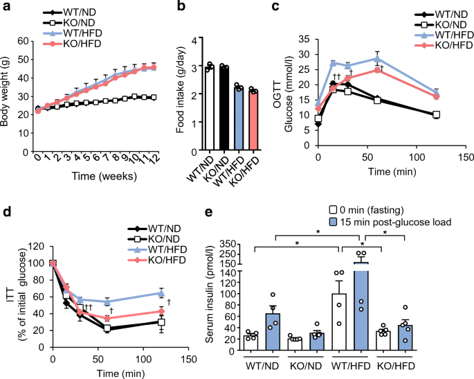 C C Motif Chemokine Receptor 9 Regulates Obesity Induced Insulin Resistance Via Inflammation Of The Small Intestine In Mice Springerlink C C Motif Chemokine Receptor 9 Regulates Obesity Induced Insulin Resistance Via Inflammation Of The Small Intestine In Mice Springerlink