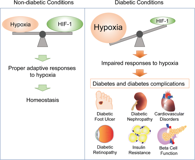 journal of diabetes and its complications impact factor 2021)