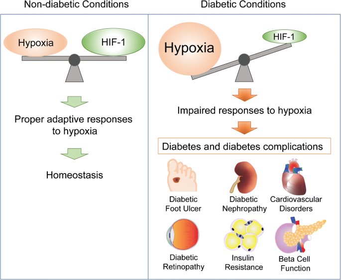 Journal of Diabetes és az életmód