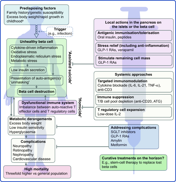 Type 1 diabetes glycemic management: Insulin therapy, glucose