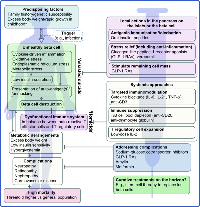 principles kezelésére kóma diabetes