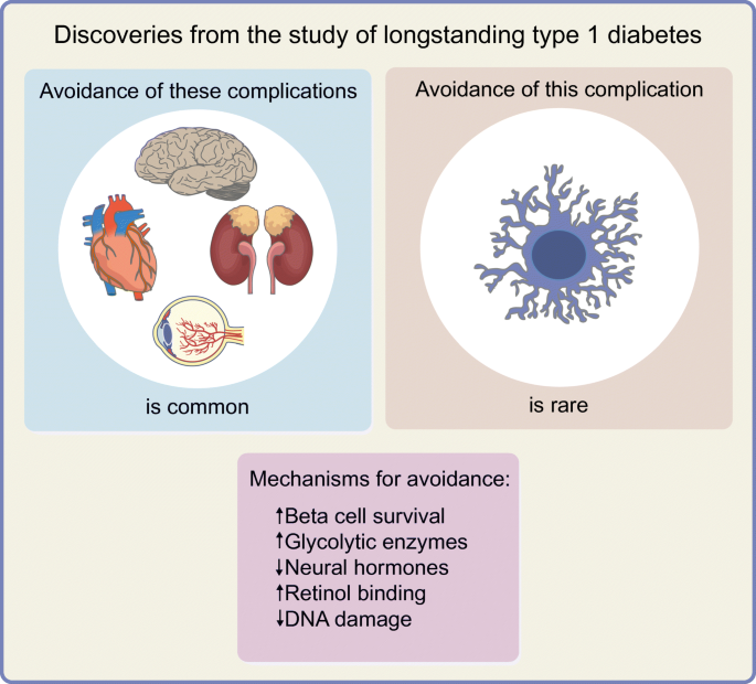 Discoveries from the study of longstanding type 1 diabetes | SpringerLink