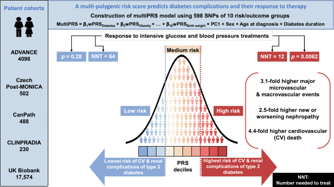 Polygenic risk scores predict diabetes complications and their ...