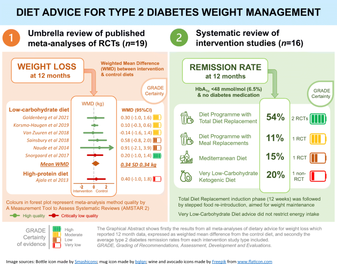 Diets for weight management in adults with type 2 diabetes: an umbrella  review of published meta-analyses and systematic review of trials of diets  for diabetes remission | SpringerLink