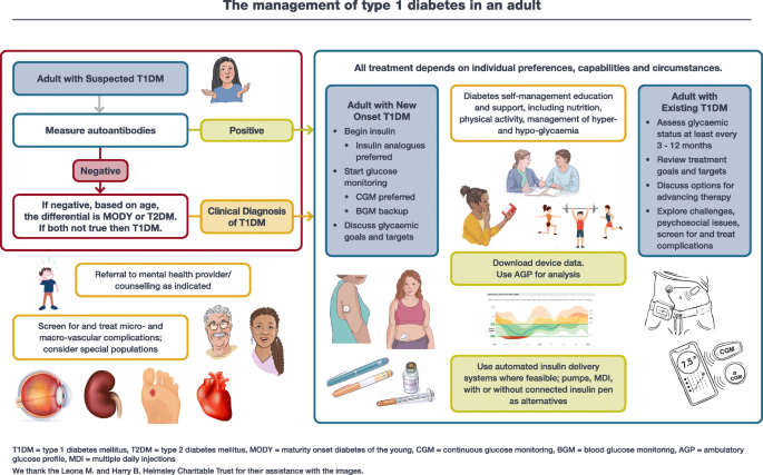 Correction to: The management of type 1 diabetes in adults. A consensus  report by the American Diabetes Association (ADA) and the European  Association for the Study of Diabetes (EASD) | SpringerLink